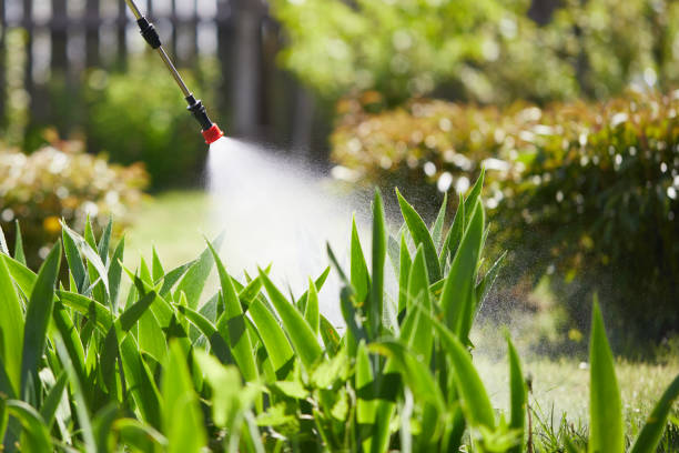 Tamper-Resistant Bait Stations for Rodents in Washington