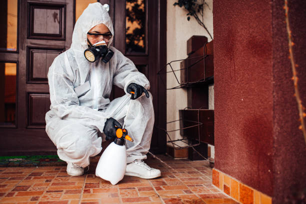 Attic and Crawl Space Rodent Treatment in Washington